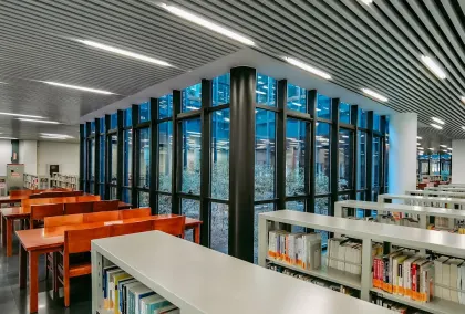 Casino Lion Wins Aip Soghluaiste